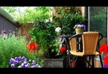 Small Urban Garden Design Ideas