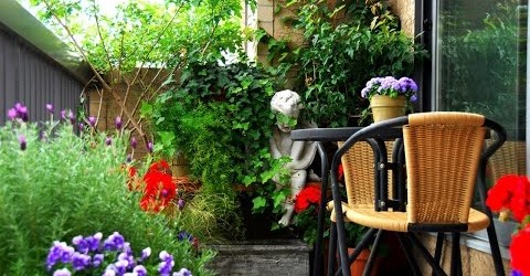 Small Urban Garden Design Ideas