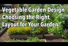 Vegetable Garden Design – Choosing the Right Layout for Your Garden