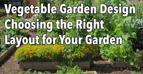 Vegetable Garden Design – Choosing the Right Layout for Your Garden