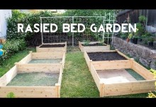 Raised Bed Gardening – How To Start A Raised Bed Vegetable Garden