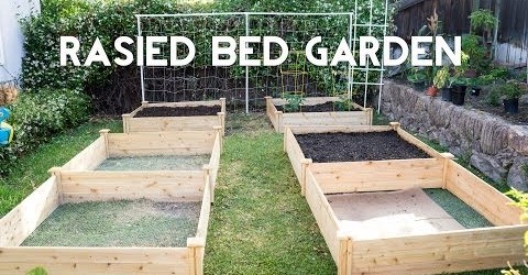 Raised Bed Gardening – How To Start A Raised Bed Vegetable Garden