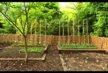 Alan Titchmarsh Vegetable Gardening Full Lengh