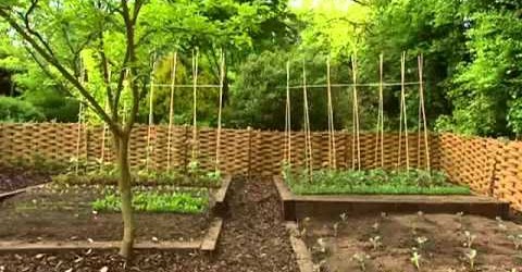 Alan Titchmarsh Vegetable Gardening Full Lengh