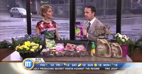 Easy gardening solutions with Frankie Flowers