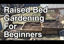 Raised Bed Gardening For Beginners. Site Selection, Organic Soil and Mulch