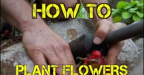 How to Plant FLOWERS the EZ Way – Landscaping and Gardening Tips