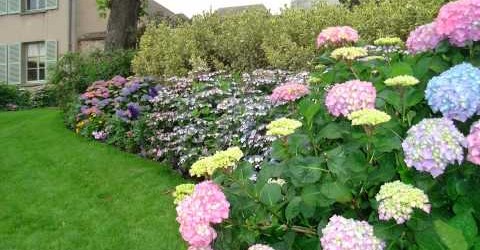 Enhance the Beauty of Your Home with a Flower Garden