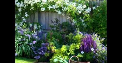 Creative gardening ideas