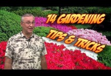 14 Gardening Tips, Tricks, & Ideas