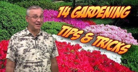 14 Gardening Tips, Tricks, & Ideas