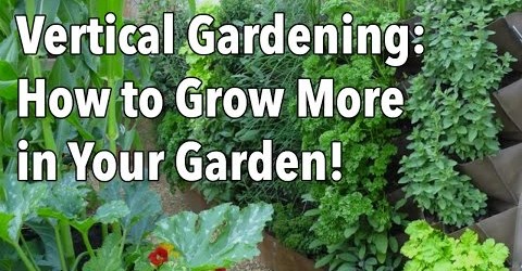 Vertical Gardening – Simple Ideas for a Vertical Vegetable Garden