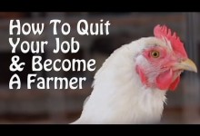 Quit Your Job and Become a Farmer. 7 Small Farm Ideas, from Organic Farming to Chickens & Goats.