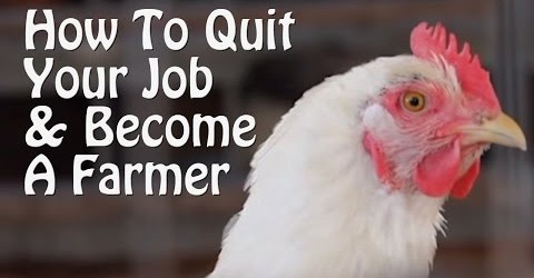 Quit Your Job and Become a Farmer. 7 Small Farm Ideas, from Organic Farming to Chickens & Goats.