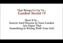 gardening tips.organic gardening.square foot gardening.gardening for dummies.indoor gardening