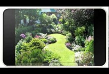 Small Garden Design Ideas