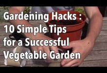 Gardening Hacks – 10 Simple Tips for a Successful Vegetable Garden