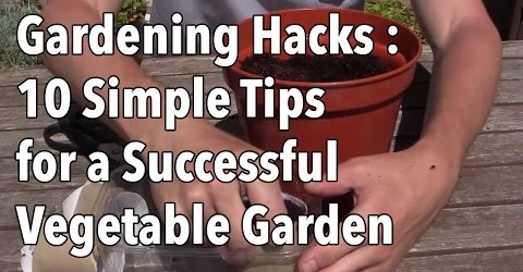 Gardening Hacks – 10 Simple Tips for a Successful Vegetable Garden