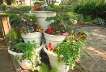 Small Space Container Gardening With 5 Types Of Vegetables – The Rusted Garden