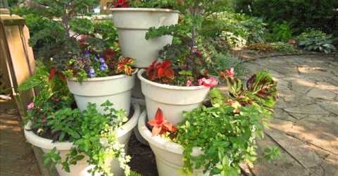 Small Space Container Gardening With 5 Types Of Vegetables – The Rusted Garden