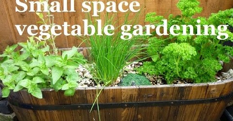 Small space vegetable gardening – A series about maximizing your space effectively