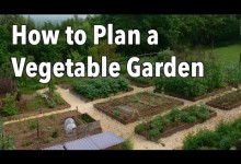 How to Plan a Vegetable Garden: Design Your Best Garden Layout