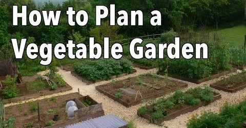 How to Plan a Vegetable Garden: Design Your Best Garden Layout