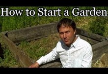 How to Start a Vegetable Garden at a New House – Planning