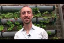 Feeding Your Plants for Free – How to Make Fertilizer for Your Vegetable Garden