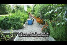 How to start a vegetable garden