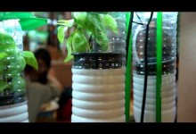 Vertical Gardening Ideas – Build Your Indoor Garden DIY Project with using Plastic Bottles