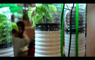 Vertical Gardening Ideas – Build Your Indoor Garden DIY Project with using Plastic Bottles