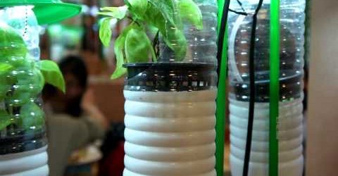 Vertical Gardening Ideas – Build Your Indoor Garden DIY Project with using Plastic Bottles