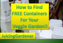 Container Garden Ideas – How To Find FREE Containers For Your Vegetable Garden