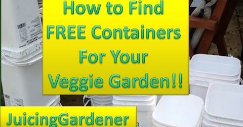 Container Garden Ideas – How To Find FREE Containers For Your Vegetable Garden