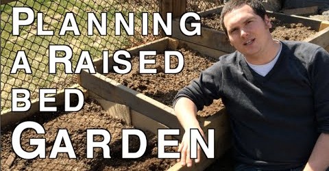 Planning Your First Raised Bed Garden using Square Foot Gardening for Beginners