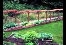 DIY Simple Backyard garden design ideas