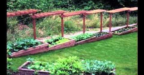 DIY Simple Backyard garden design ideas