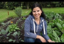 My organic vegetable garden + some tips for growing your own food!