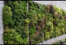 Vertical Garden Design Ideas (Taman Vertikal)