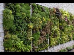 Vertical Garden Design Ideas (Taman Vertikal)