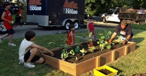 How to Build a Raised Vegetable Garden