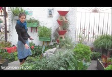 Experiments in small space gardening in Mexico City