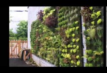 15 inspiring and creative vertical gardening ideas, designs