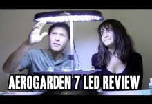 Best Indoor Garden for Beginners: Aerogarden 7 LED Review