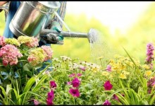 Flower Gardening from the Ground Up