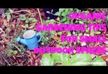 Garden, Gardening, Garden Ideas: Tips for Making the Most Out of Your Small Space Organic Garden