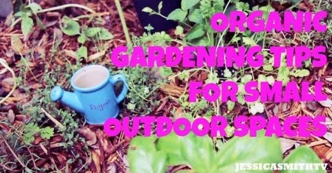 Garden, Gardening, Garden Ideas: Tips for Making the Most Out of Your Small Space Organic Garden