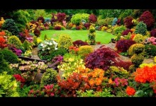 Ideas for Gardens Designs