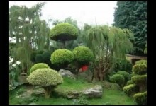 Japanese Garden Design Ideas to Style up Your Backyard